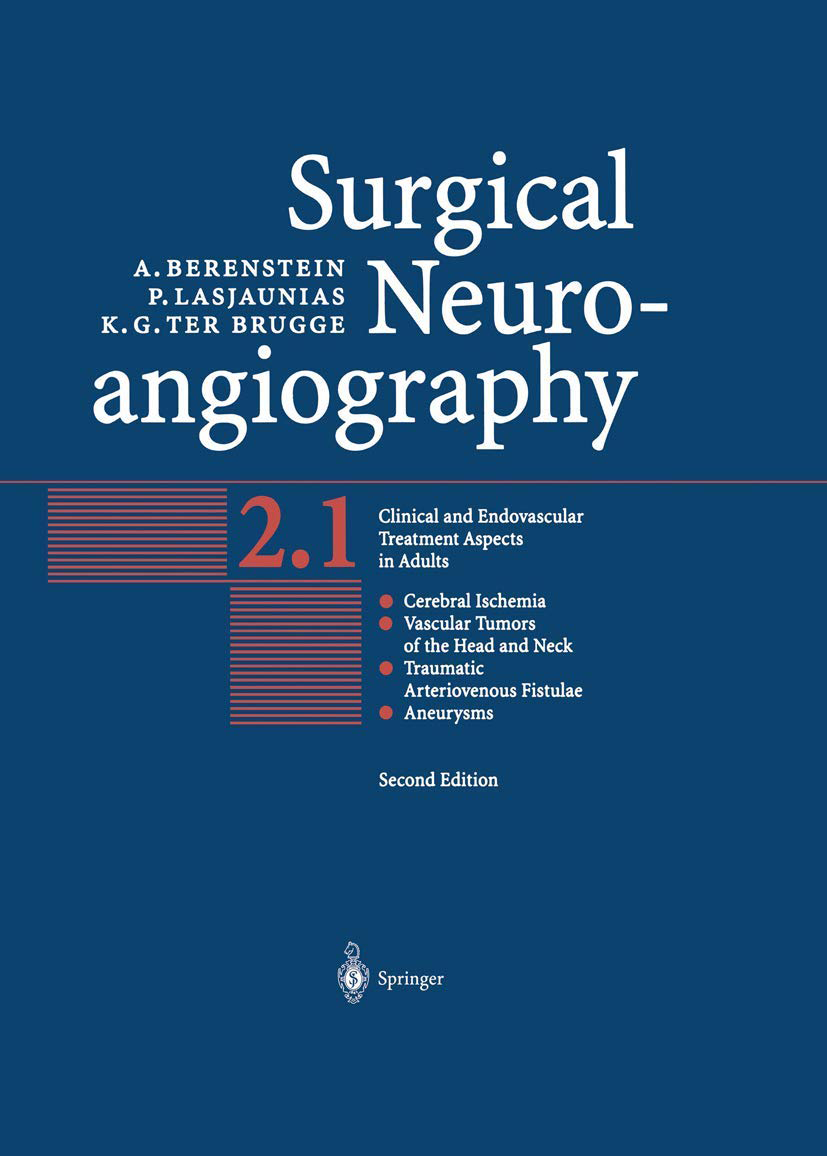Brugge's Book